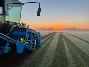 FireFly ProSlab 160 harvester at sunrise in field