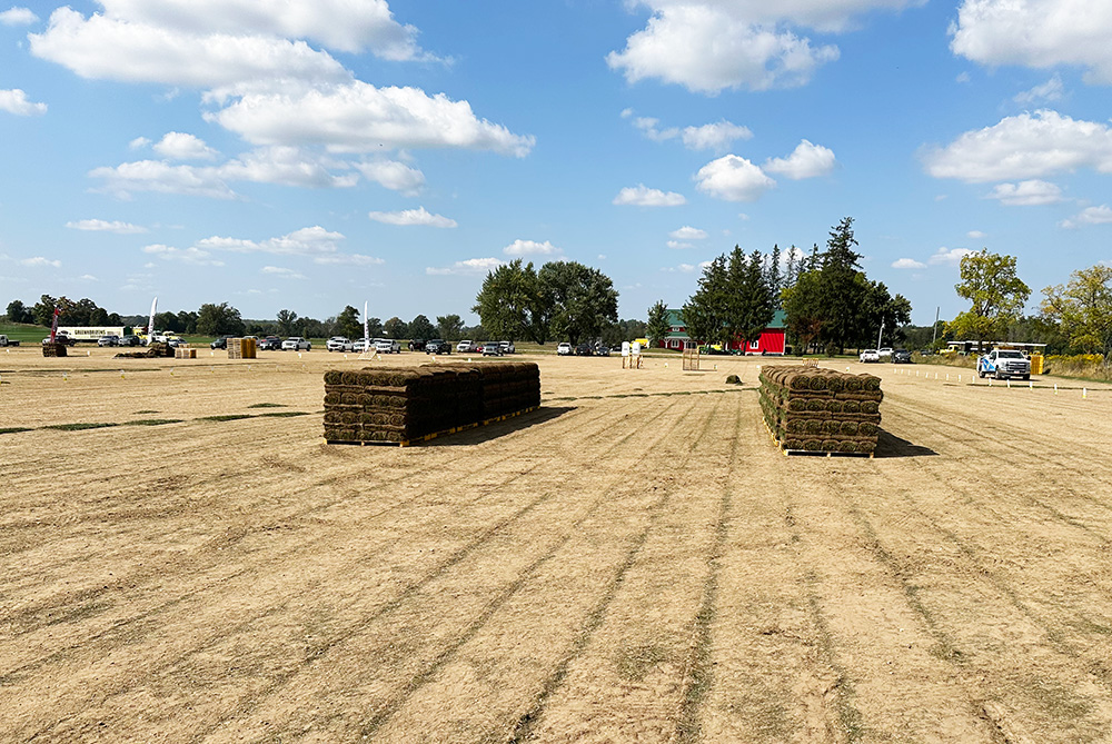 Harvested triangular area with neat pallets produced by R300 with lower quality pallets by other manufacturers in the background