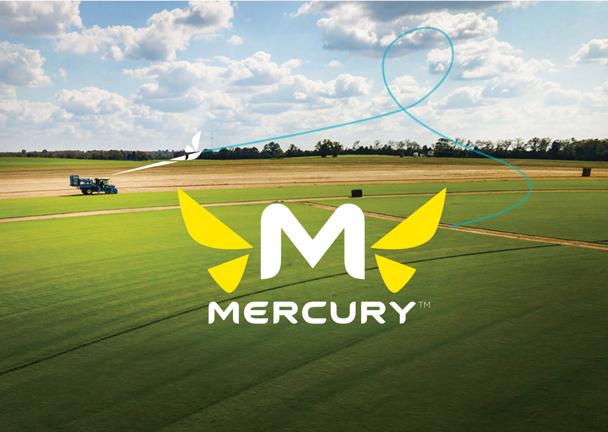 Mercury graphic with icon